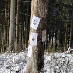 2026.01.30 - 02.01 | Winterjagd 2026