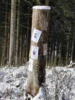 2026.01.30 - 02.01 | Winterjagd 2026