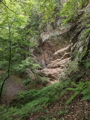 IMG 20260830 133403