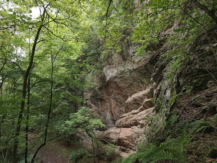 IMG 20260830 133413
